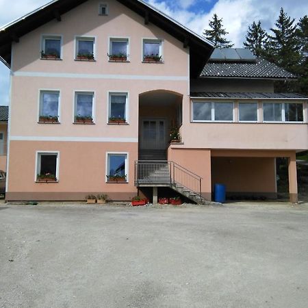 Kmetija Knavs Villa Nova Vas  Luaran gambar